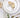 Empire White with Gold Rim 12 Piece Dinner Set
